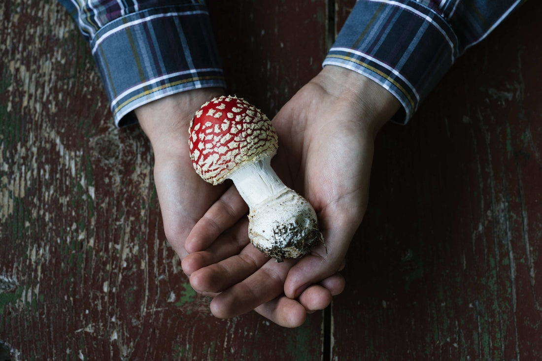 How “All-Natural” Claims Can Be Misleading