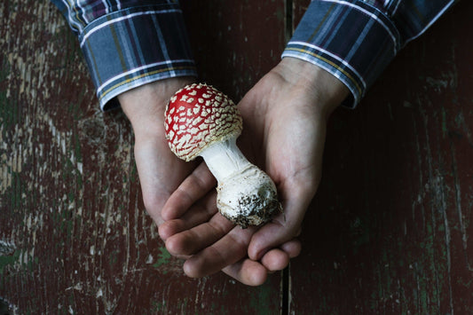 How “All-Natural” Claims Can Be Misleading