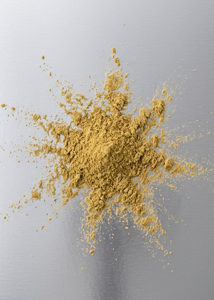 Ginkgo biloba