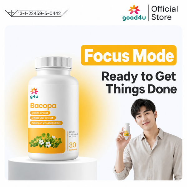 Focus & Memory